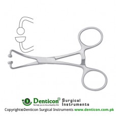 Towel Clamp For Paper Clothes Stainless Steel, 14 cm - 5 1/2"